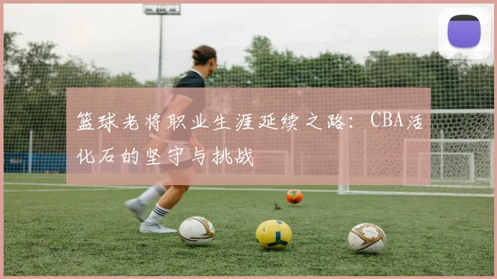 篮球老将职业生涯延续之路：CBA活化石的坚守与挑战