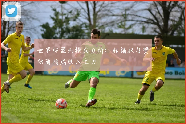 世界杯盈利模式分析：转播权与赞助商构成收入主力