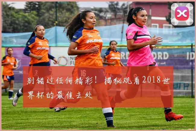 别错过任何精彩!揭秘观看2018世界杯的最佳去处