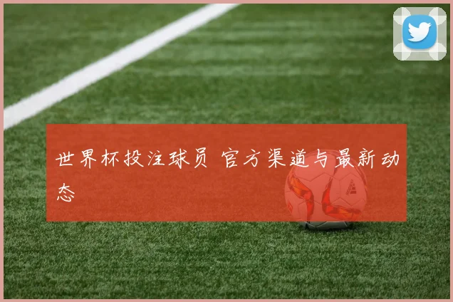 世界杯投注球员 官方渠道与最新动态