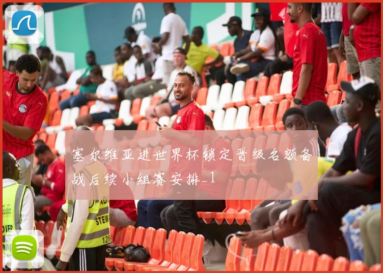 塞尔维亚进世界杯锁定晋级名额备战后续小组赛安排_1