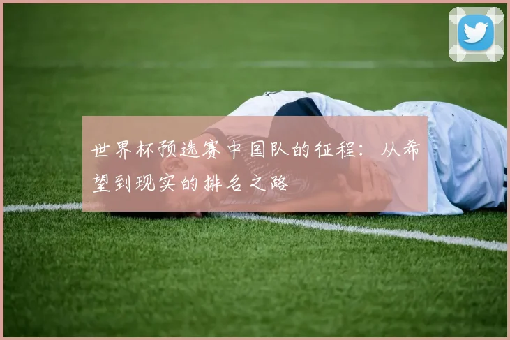 世界杯预选赛中国队的征程：从希望到现实的排名之路