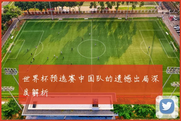 世界杯预选赛中国队的遗憾出局深度解析