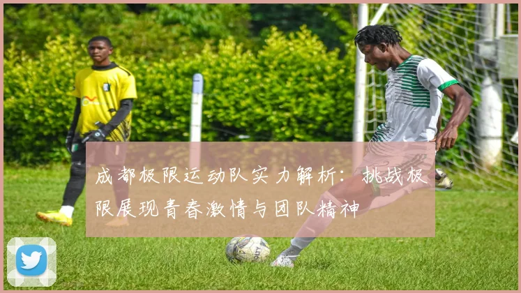 成都极限运动队实力解析：挑战极限展现青春激情与团队精神