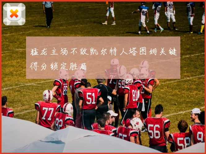 猛龙主场不敌凯尔特人塔图姆关键得分锁定胜局