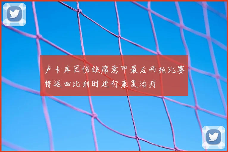 卢卡库因伤缺席意甲最后两轮比赛将返回比利时进行康复治疗
