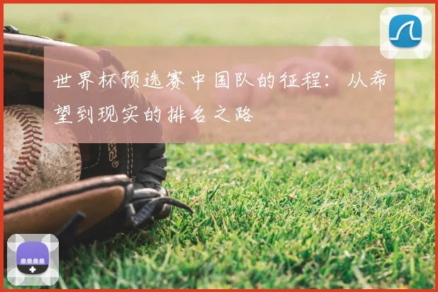 世界杯预选赛中国队的征程：从希望到现实的排名之路