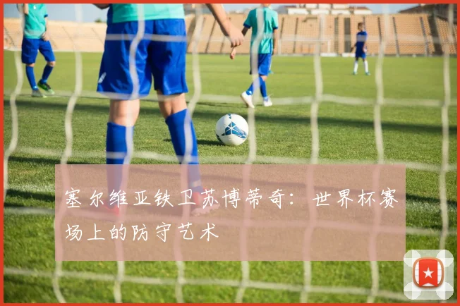 塞尔维亚铁卫苏博蒂奇：世界杯赛场上的防守艺术