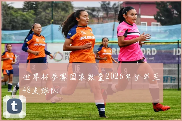 世界杯参赛国家数量2026年扩军至48支球队