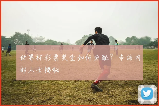 世界杯彩票奖金如何分配？专访内部人士揭秘