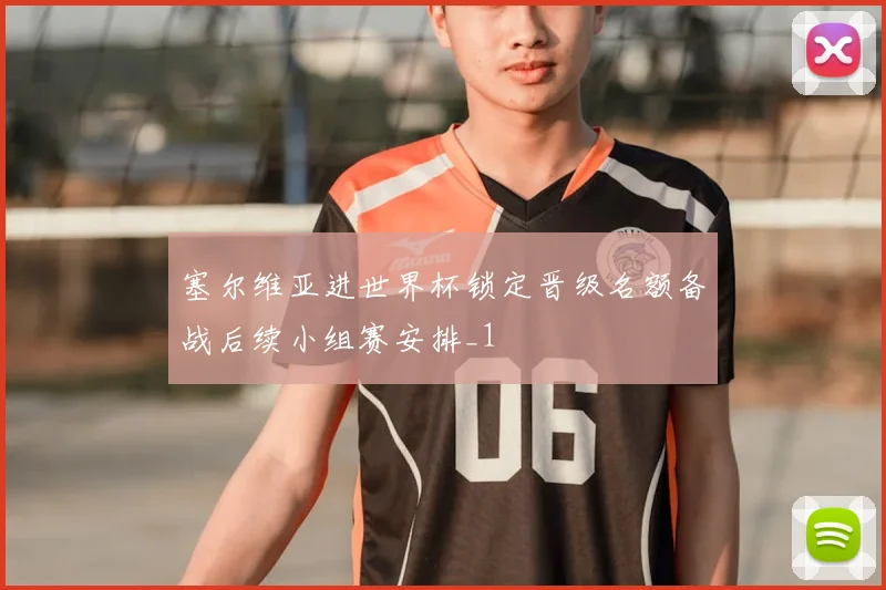 塞尔维亚进世界杯锁定晋级名额备战后续小组赛安排_1