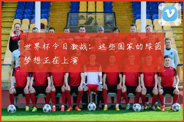 世界杯今日激战：这些国家的绿茵梦想正在上演