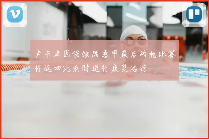 卢卡库因伤缺席意甲最后两轮比赛将返回比利时进行康复治疗