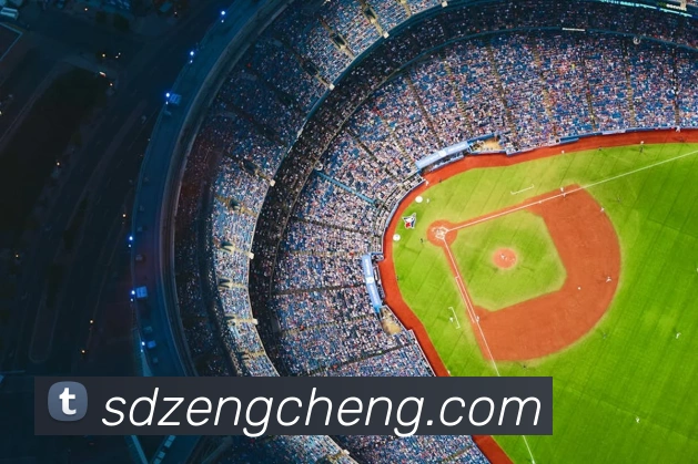 世界杯APP 封面图